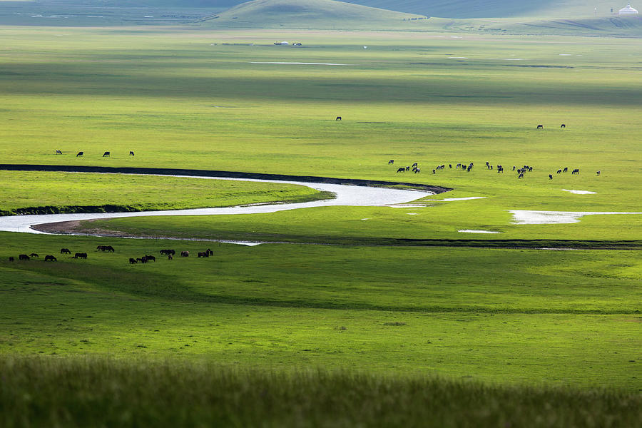 Landscape Of Grassland #2 by Zhouyousifang