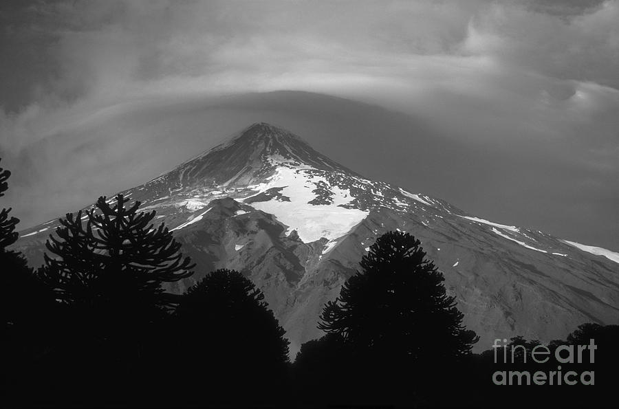 Lanin volcano and Araucaria Trees in Monochrome Photograph by James Brunker