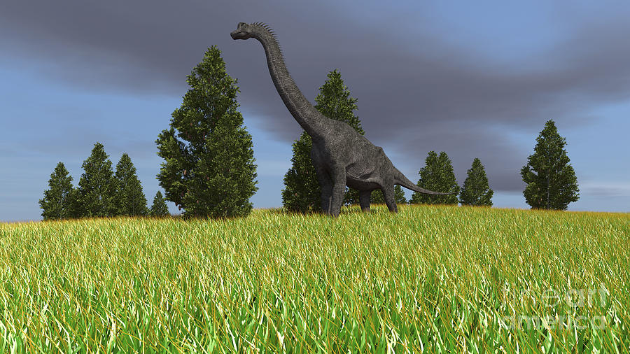 Large Brachiosaurus In An Open Field Digital Art