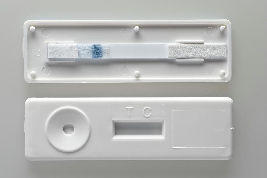 Lateral Flow Test Device Photograph By Jim Varney Science Photo Library   2 Lateral Flow Test Device Jim Varneyscience Photo Library 