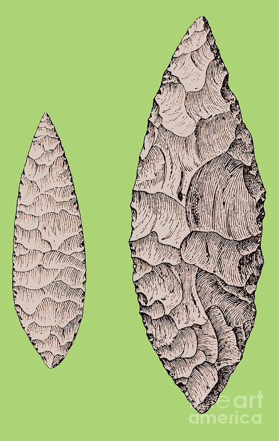 Leaf-shaped Flint Implements, Upper #2 Photograph by Science Source