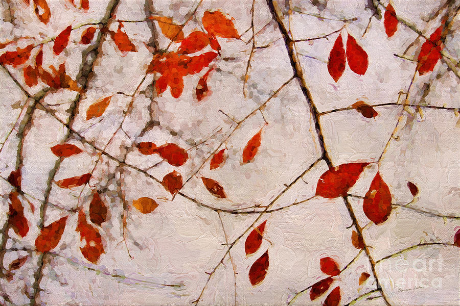 Leaves of Autumn #2 Photograph by Darren Fisher