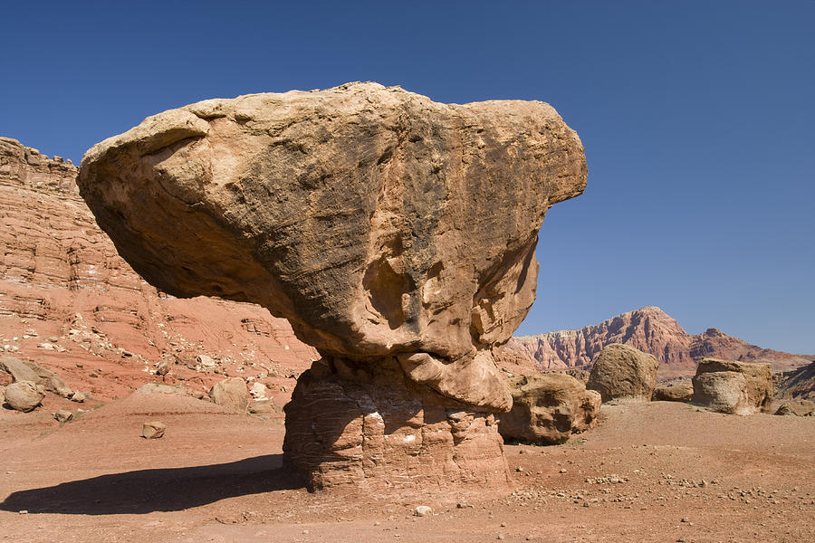 Lees Ferry Rock Formation Arizona #2 Photograph by Tom Vezo