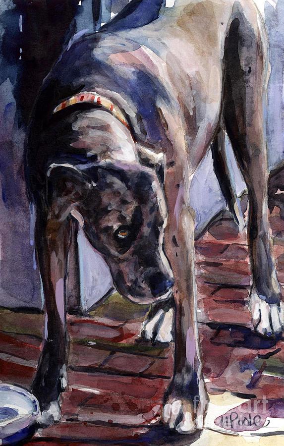 Dog Painting - Legs #2 by Molly Poole