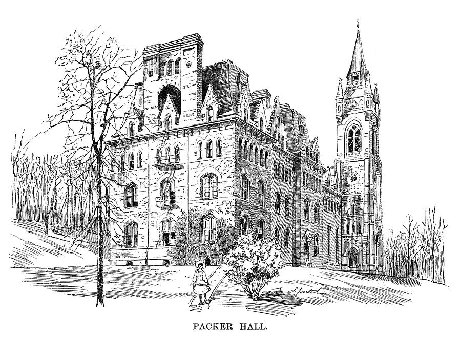 Lehigh University, 1888 #5 Drawing by Granger