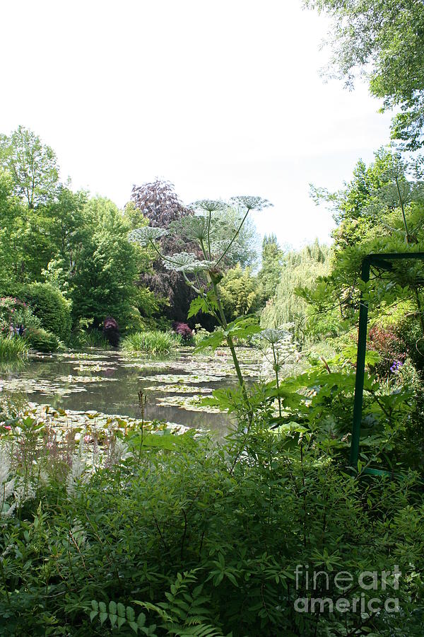Lily Pond In Monets Garden #2 Photograph by Christiane Schulze Art And Photography