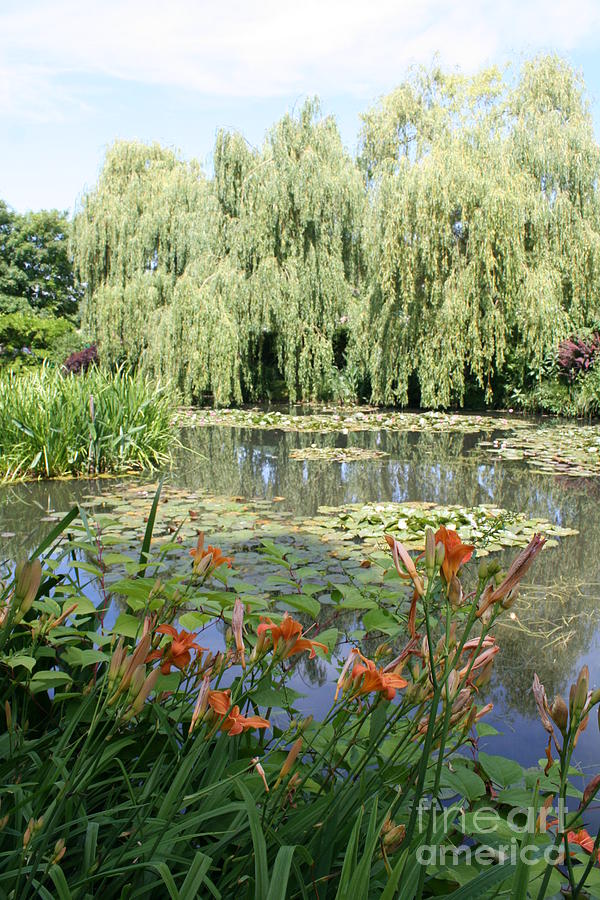 Lily Pond - Monets Garden #3 Photograph by Christiane Schulze Art And Photography