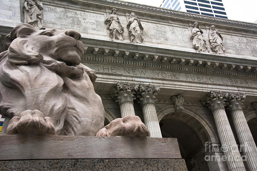 Lion New York Public Library #2 Photograph by Amy Cicconi