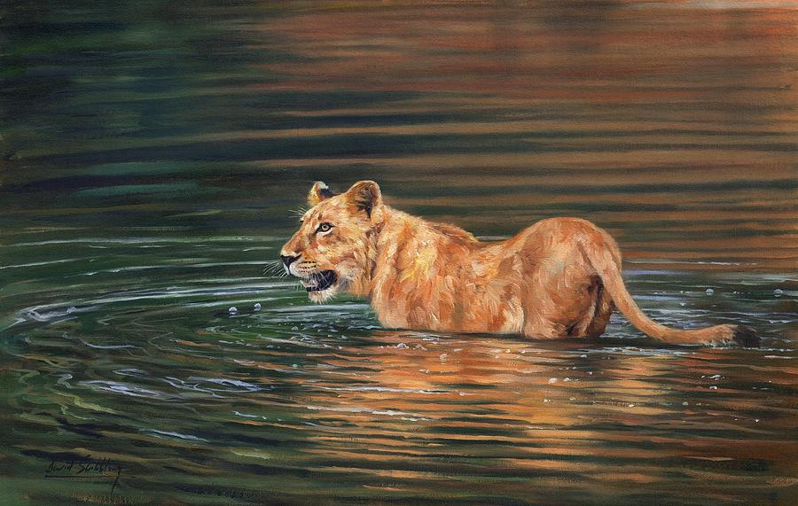 Lioness #2 Painting by David Stribbling