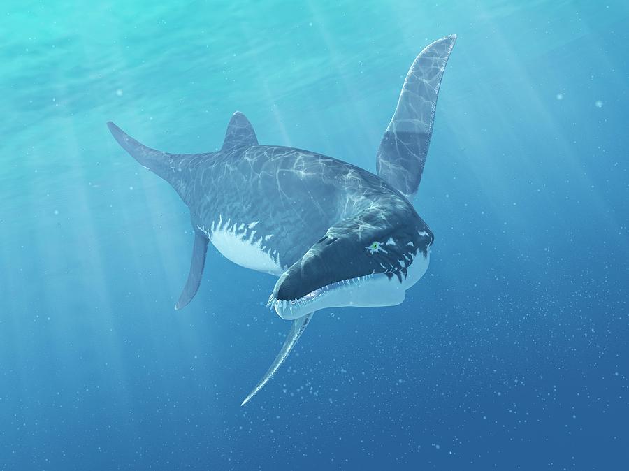 biggest marine reptile