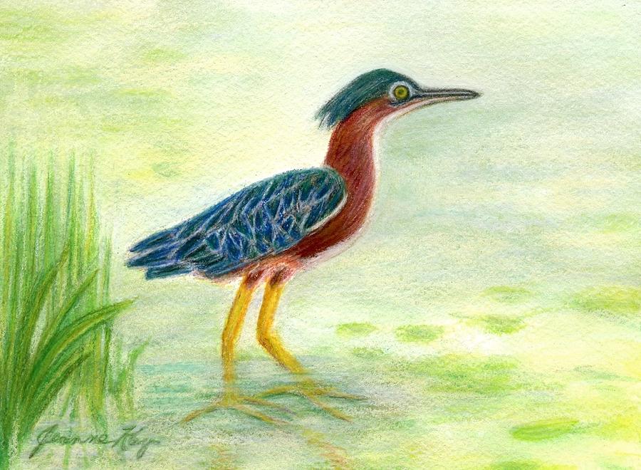 Nature Painting - Little Green Heron #2 by Jeanne Juhos