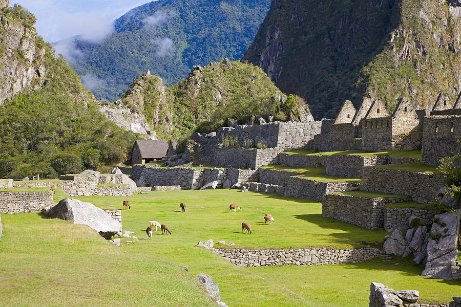 Pasture at Machu Picchu Photograph by Alexey Stiop