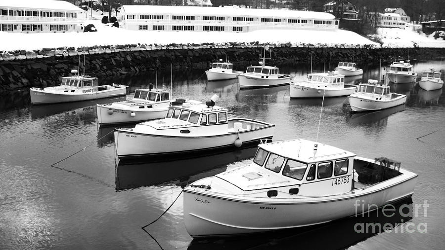 Boat Photograph - Lobster Boats #2 by Christy Bruna