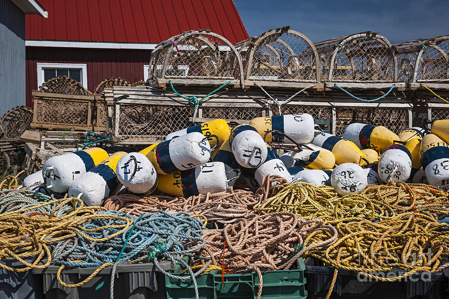 Floats Photograph - Lobster Fishing by Elena Elisseeva Floats Photograph - Lobster Fishing by Elena Elisseeva
