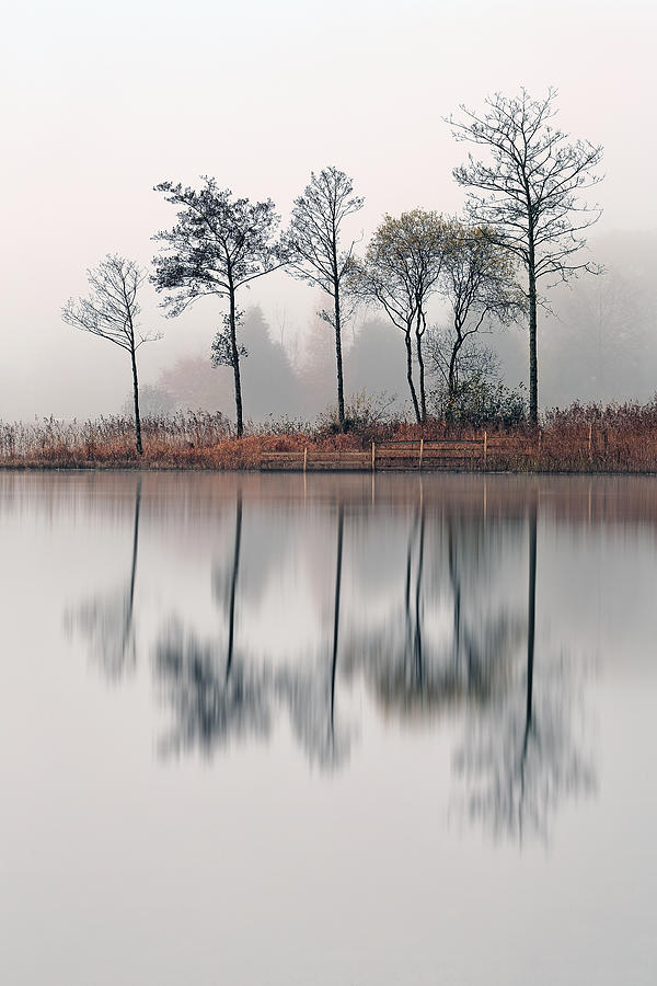 Loch Ard Reflections #2 Photograph by Grant Glendinning