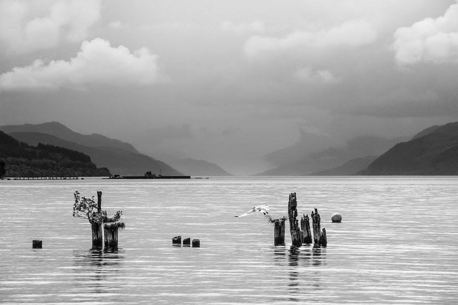 Loch Ness from Dores #1 Photograph by Veli Bariskan