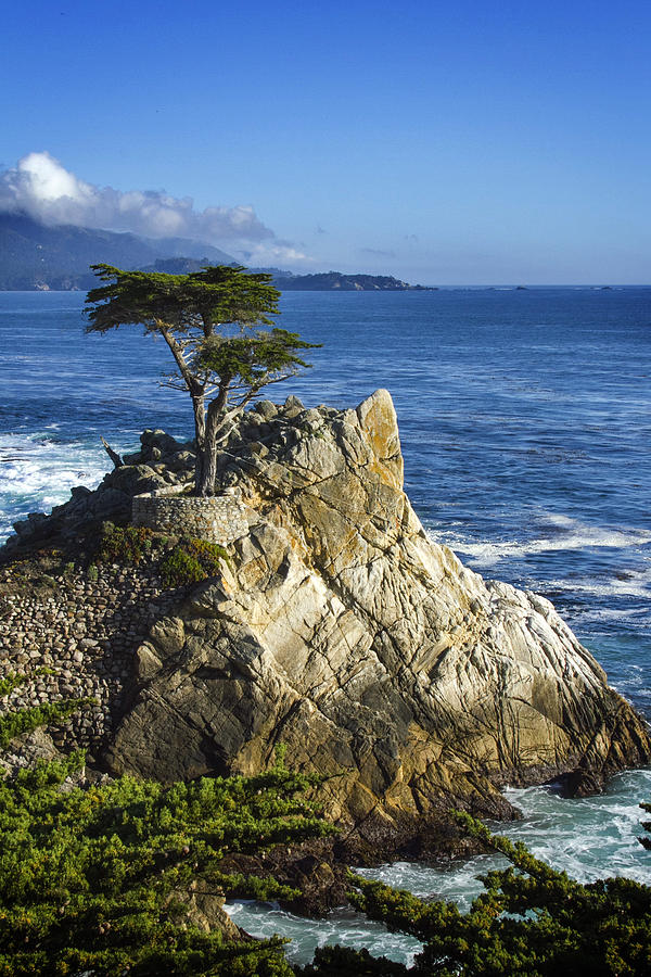 Landscape Photograph - Lone Cypress #2 by Leon Chang