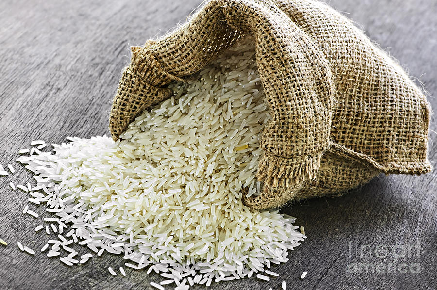 Long grain rice in burlap sack 1 Photograph by Elena Elisseeva