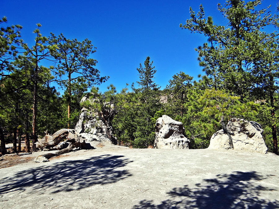 Los Alamos Trail Find II #2 Photograph by Tom DiFrancesca