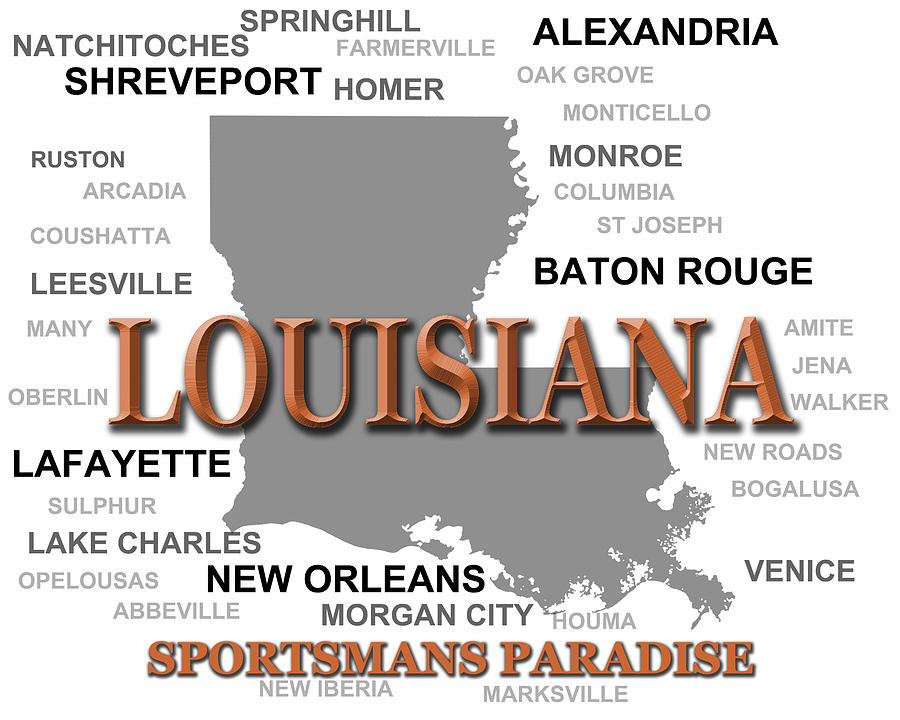 Winslow Homer Photograph - Louisiana State Pride Map Silhouette  #2 by Keith Webber Jr