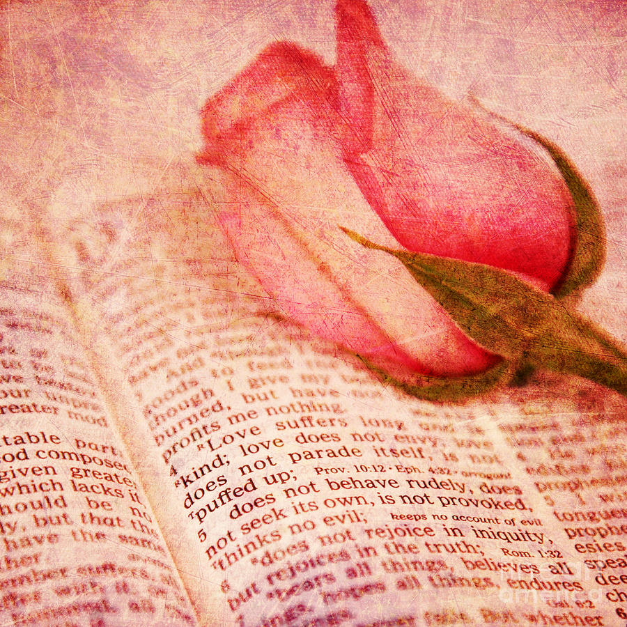 Love Scripture #2 Photograph by Pattie Calfy