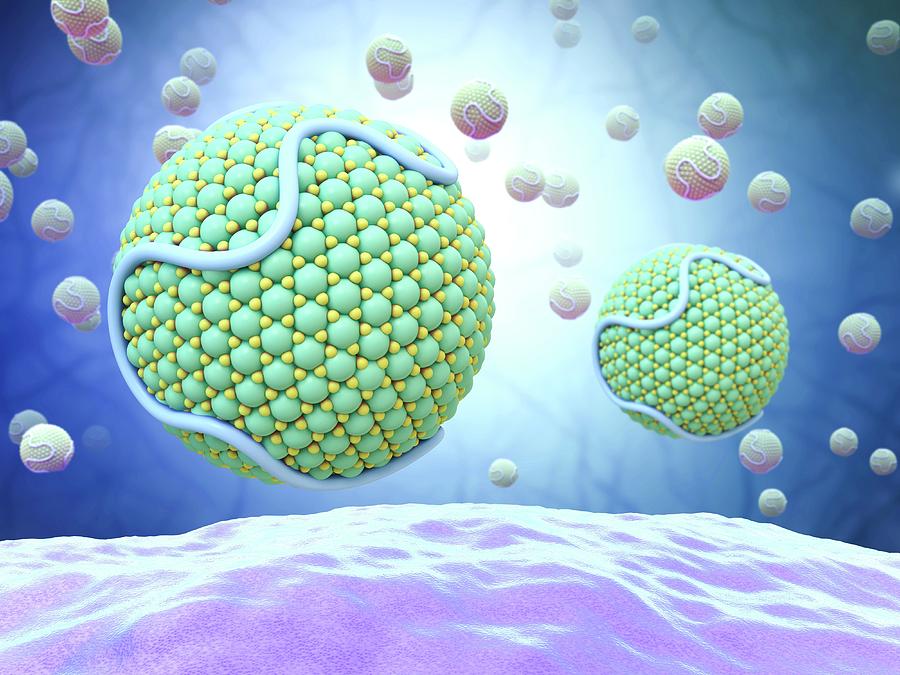 Low-density Lipoproteins #2 Photograph by Maurizio De Angelis