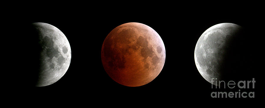 Lunar Eclipse #2 Photograph by John Chumack