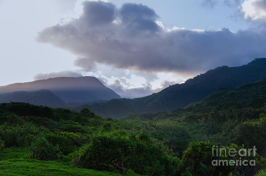 Lush tropical valley on the Road to Hana Maui Hawaii USA #2 Photograph by Don Landwehrle