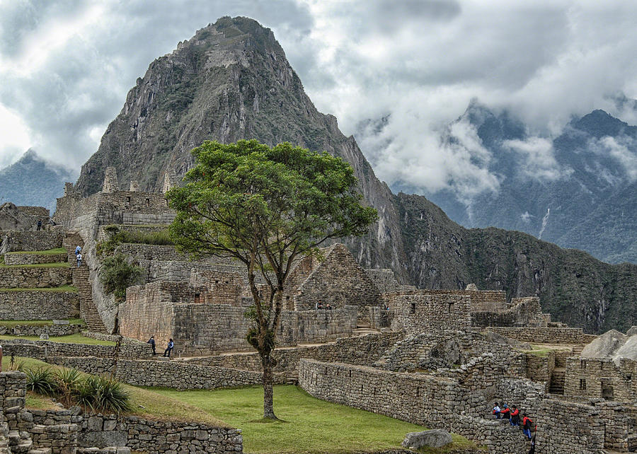 Machu Picchu - 3 Photograph by Alan Toepfer