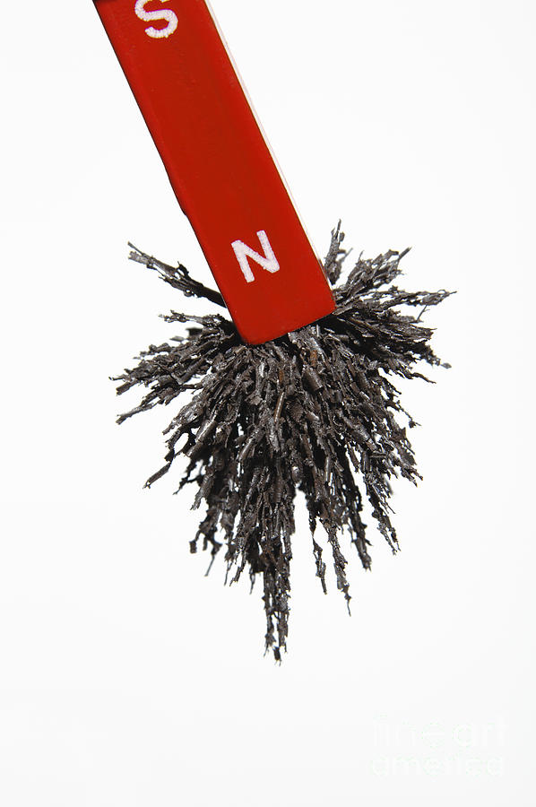 Magnet Attracts Iron Filings #2 Photograph by GIPhotoStock