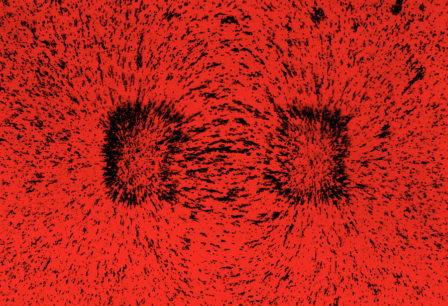 Magnetic Field #2 Photograph by Bell Labs/Science Source