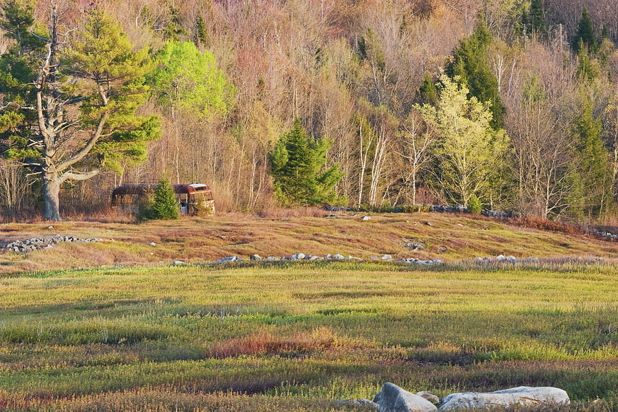 Maine Blueberry Field In Spring #2 Photograph by Keith Webber Jr