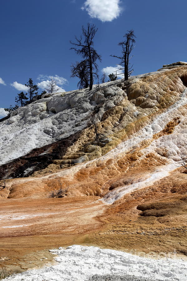 Yellowstone National Park Photograph - Mammoth hot springs #2 by Sophie Vigneault