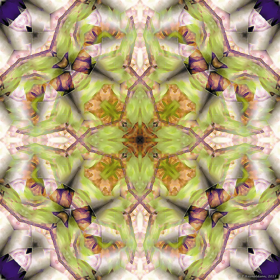 Abstract Digital Art - Mandala 128 #2 by Terry Reynoldson