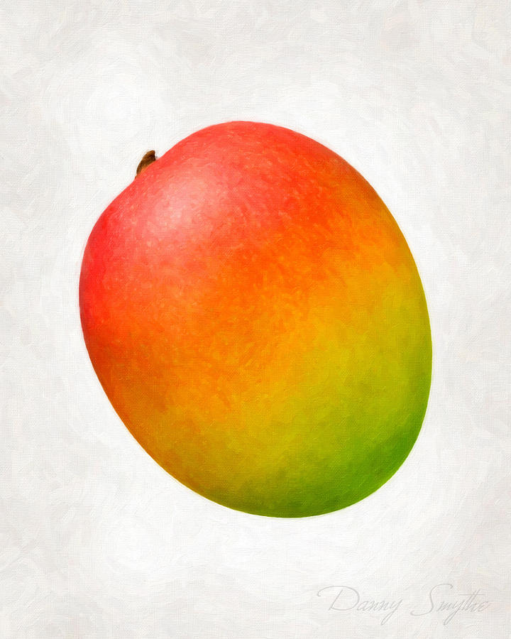 Mango Painting - Mango  #2 by Danny Smythe
