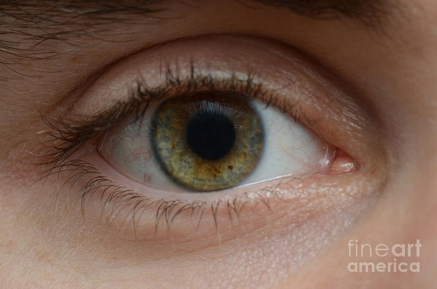 Mans Eye #2 Photograph by Photo Researchers, Inc.