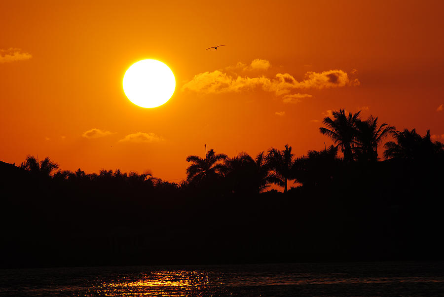 Sunset Photograph - Marco Island Sunset by David Hart