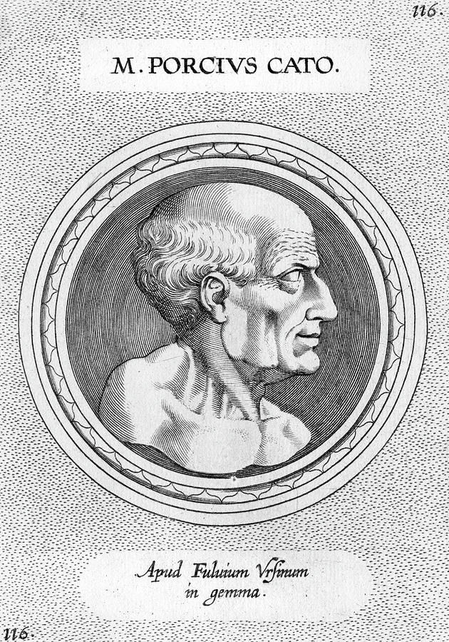 Politician Drawing - Marcus Porcius Cato (234-149 Bc), Roman #2 by Mary Evans Picture Library