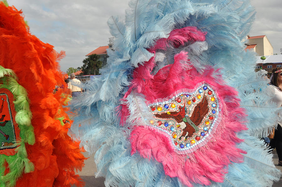 Mardi Gras Indians #3 Photograph by Diane Lent