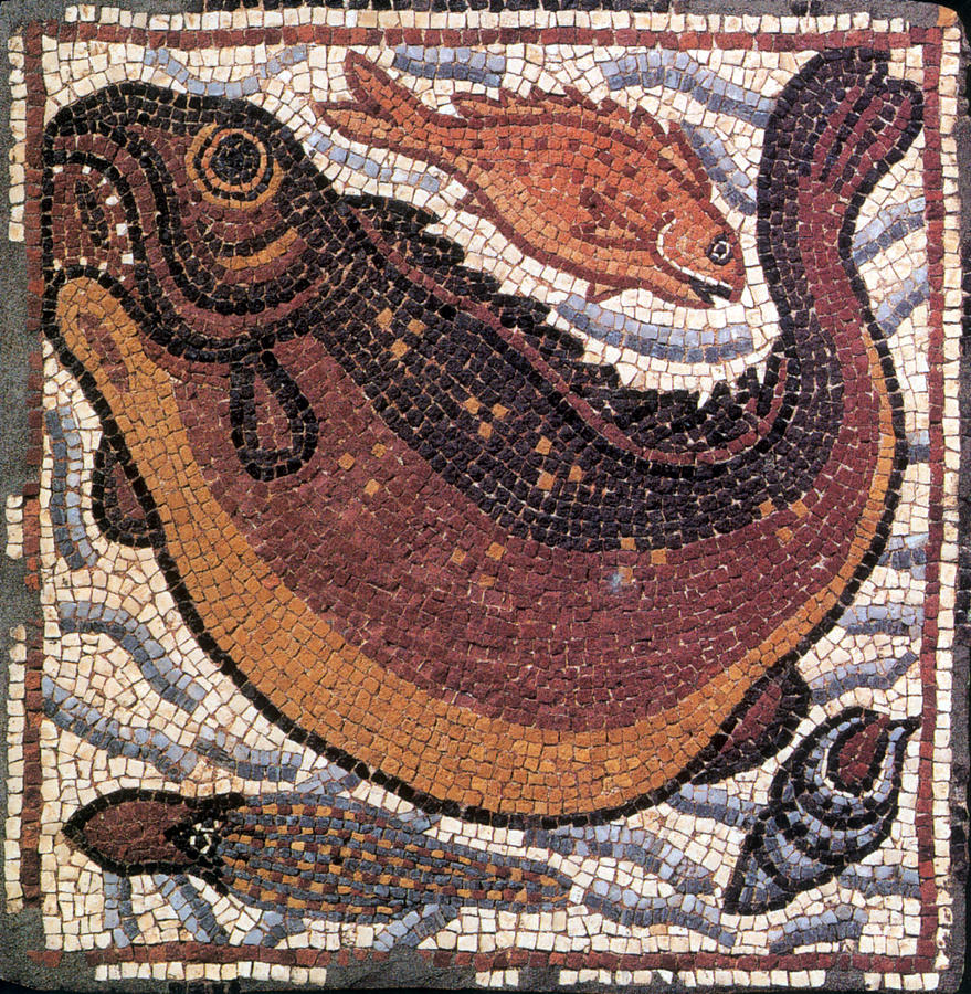 Marine Fauna, Byzantine Mosaic, 6th #2 Photograph by Science Source
