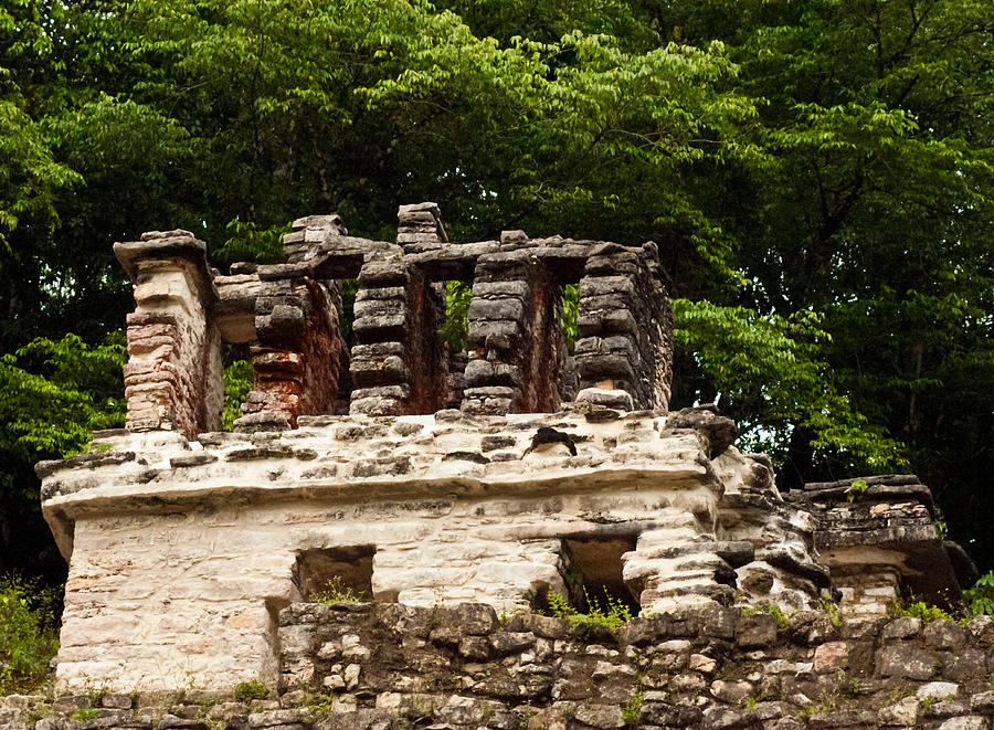 Mayan Temple Ruin #3 Photograph by James Gay