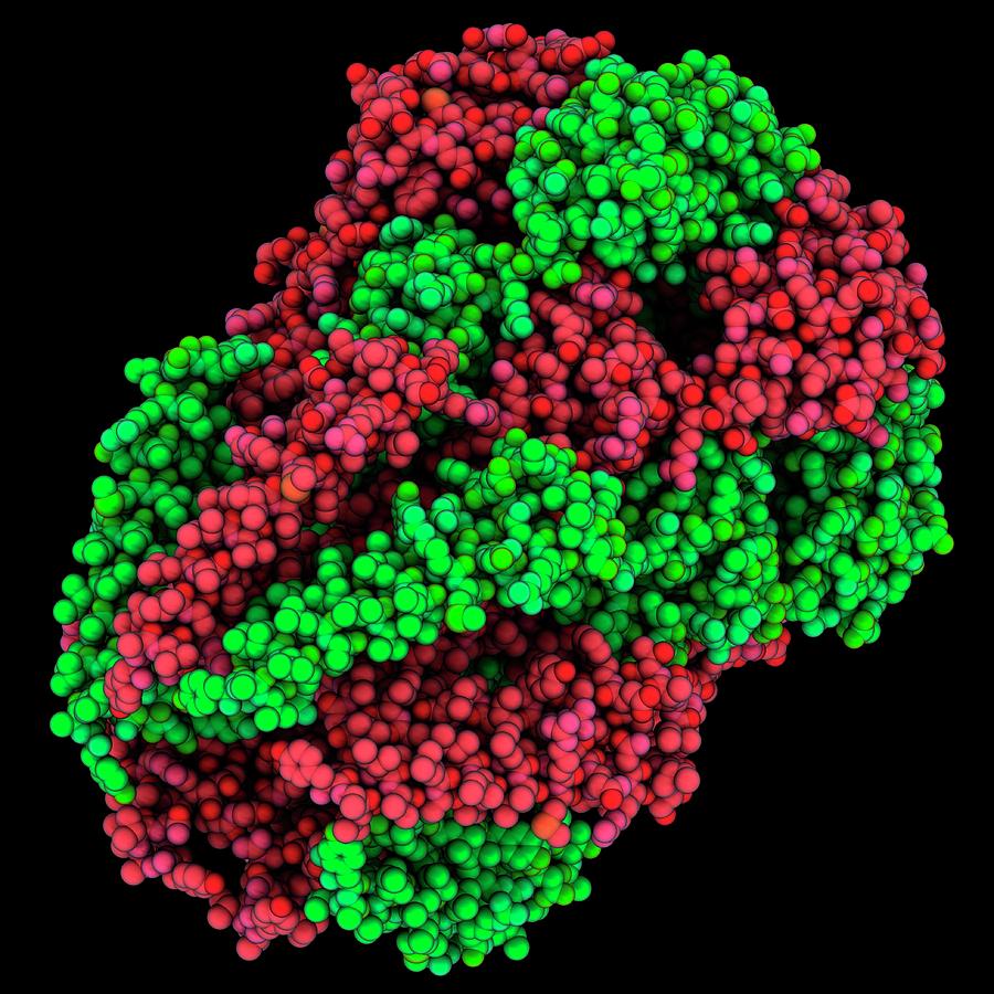 Mechanosensitive Channel Molecule Photograph By Laguna Design/science ...