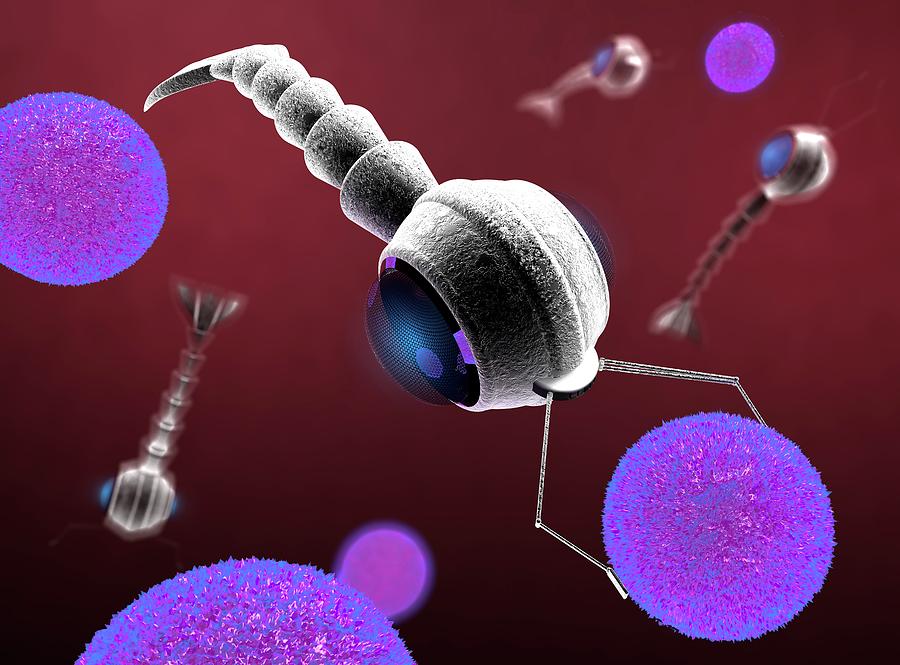 Medical Nanorobots Photograph By Paul Wootton/science Photo Library ...