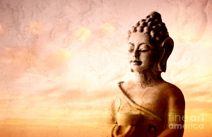 Meditating Buddha #2 Photograph by Charline Xia