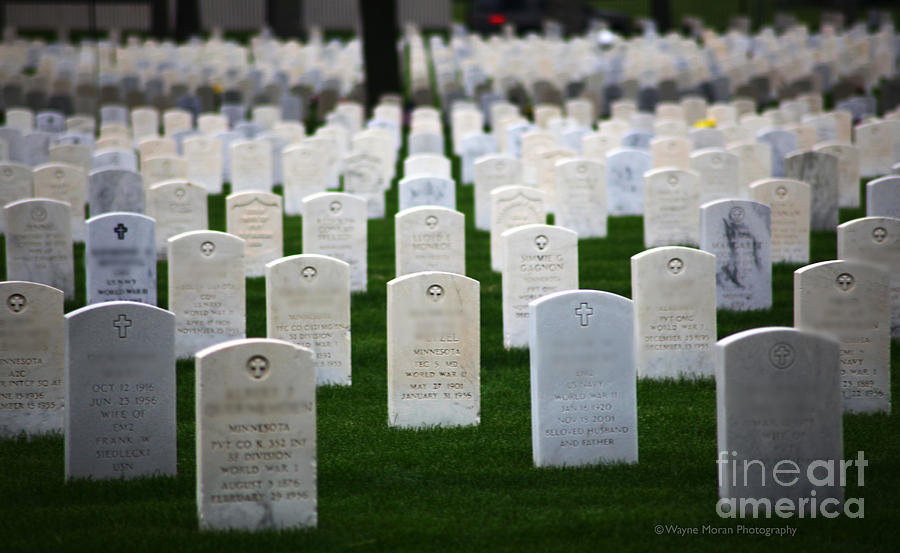 Memorial Day Remembering Those Who Gave The Ultimate Sacrifice #2 Photograph by Wayne Moran