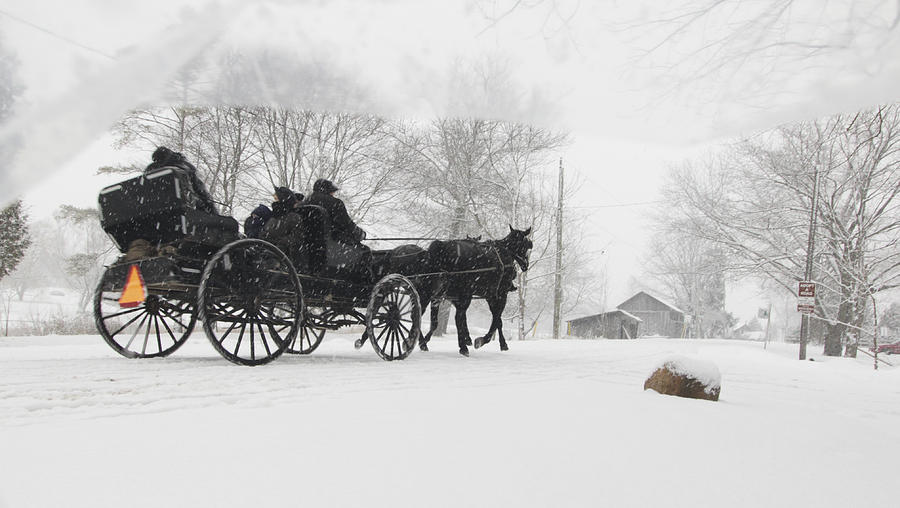 Mennonites in Canada #2 Photograph by Nick Mares