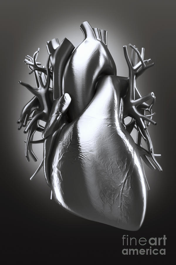 Metal Heart #2 Photograph by Science Picture Co