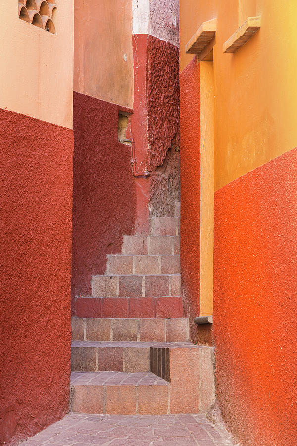 Close-up Photograph - Mexico, Guanajuato #2 by Jaynes Gallery