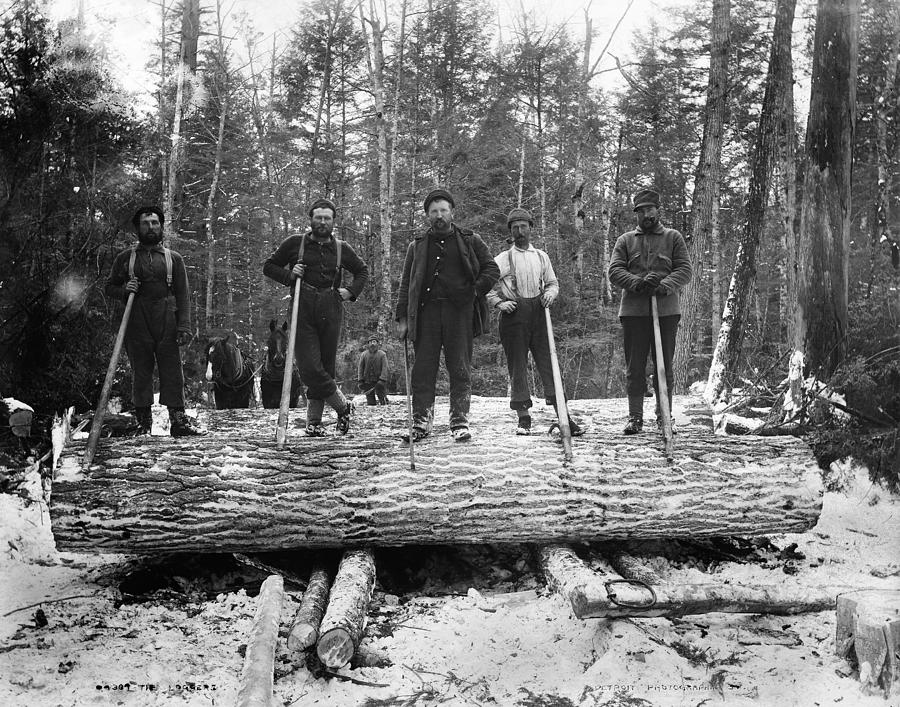 Michigan Lumberjacks #2 Photograph by Granger