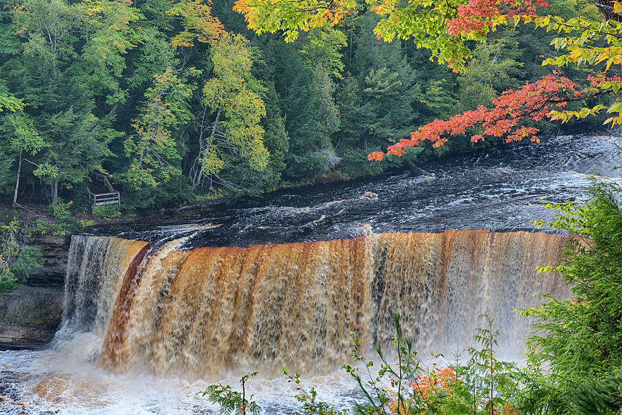 Michigan, Tahquamenon Falls State Park Photograph By Jamie And Judy 